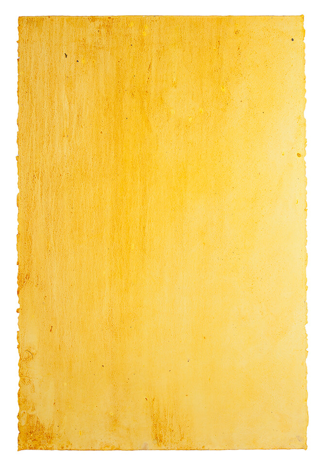 curcuma papel 07.jpg
